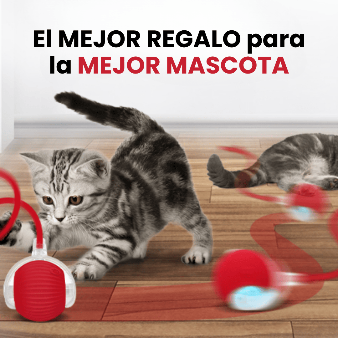 2X1 OFERTA Guante MagicFur + Pelota Rollie interactiva