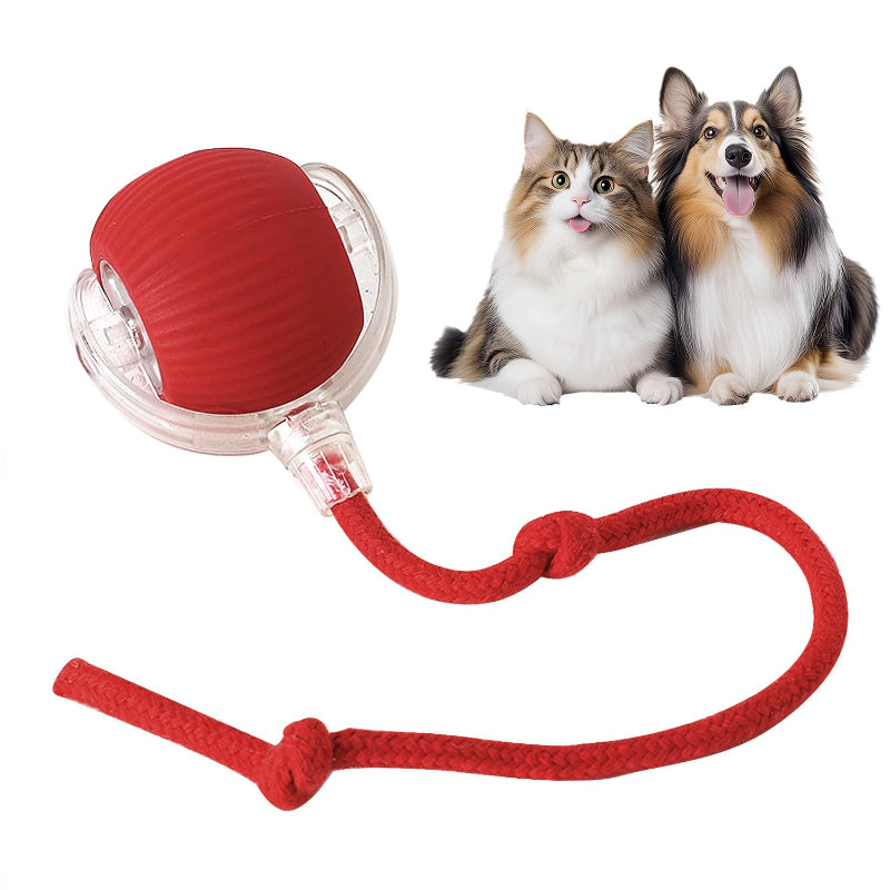 2X1 OFERTA  Guante MagicFur + Pelota Rollie interactiva